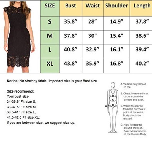 🎉HP | NWT✨ Elegant Dark Emerald Green Floral Lace Boutique Cocktail Shift Dress - Picture 5 of 5